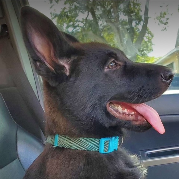 👉PLEASE LIKE AND SHARE NEW GAME! 😊🥰🎉 - Picture 3 of 16